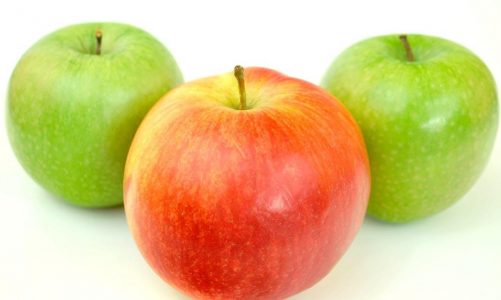 De 8 vigtigste grunde til at investere i sæsonbestemt frugt